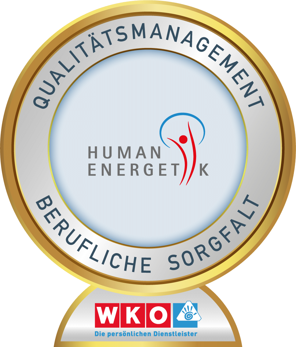 Ein Zertifikat der Wirtschaftskammer Salzburg für berufliche Sorgfalt, darauf steht in Großbuchstaben "Qualitätsmanagement"