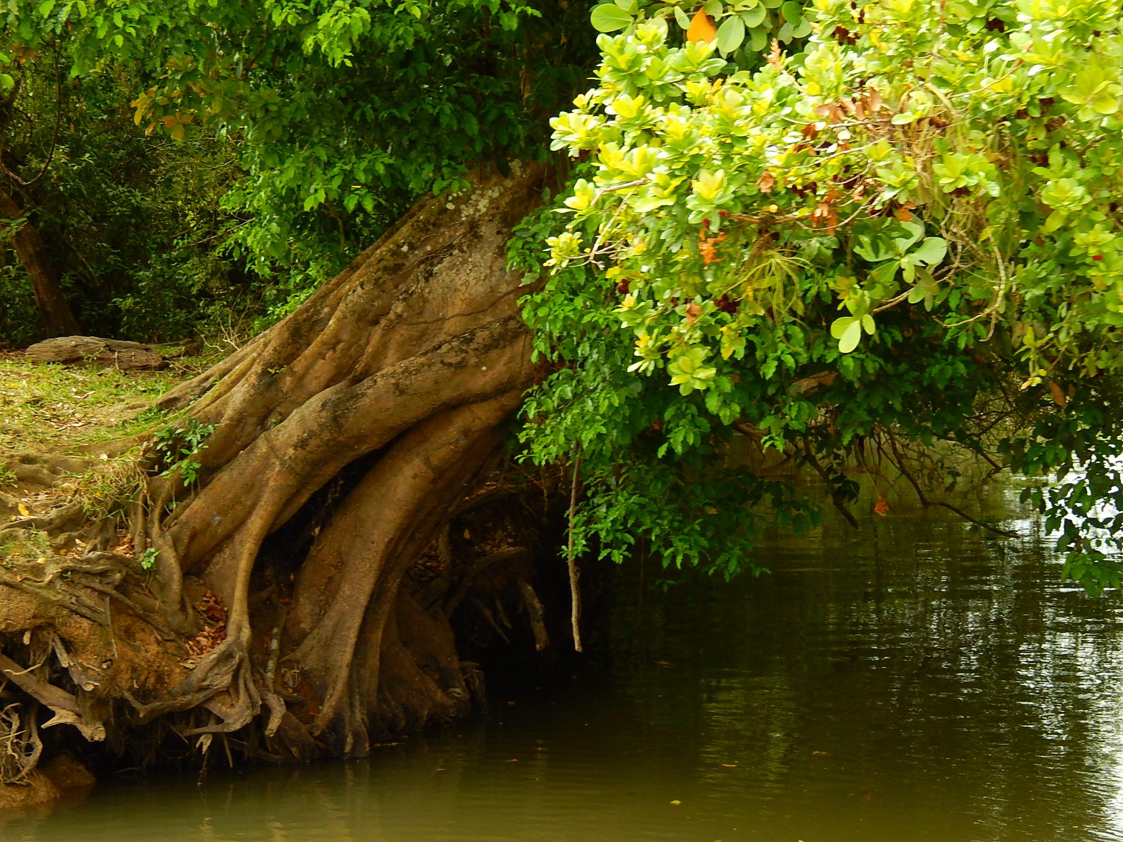 Nachaufname von Händen mit drei lilafarbenen Kärtchen auf denen steht Gerechtigkeit, Vertrauen und Unterstützung.